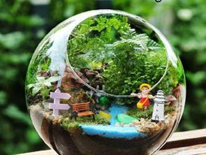 开个微景观工作室：打造自然魅力绿洲