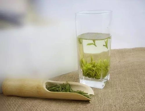 栀子花消炎杀菌，效果究竟有多好
