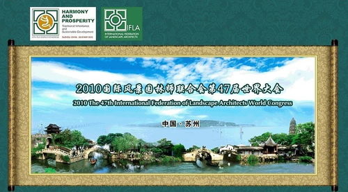 比赛类型，丰富多样