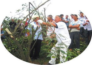 播种前必须Zuo的3个关键处理