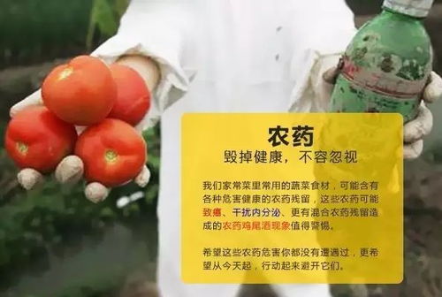 4. 第三方检测机构