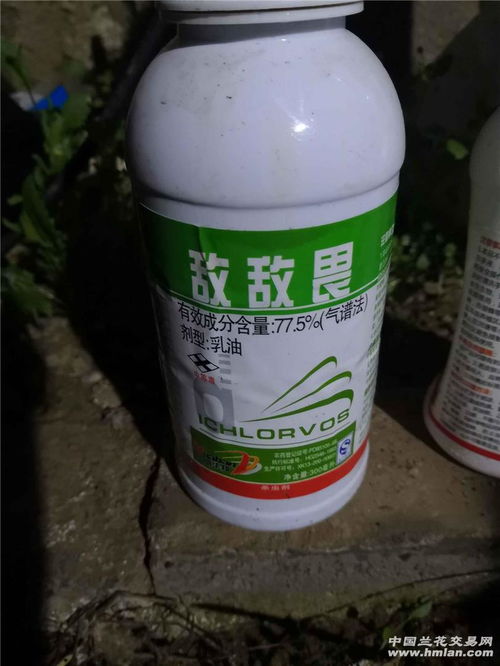 喷完乙草胺，多久Neng种东西？