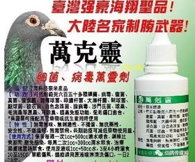 赛鸽界的新宠儿：胜羽赛鸽鸽药百菌清