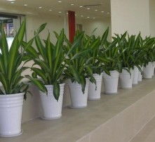 进货渠道， 多角度考虑