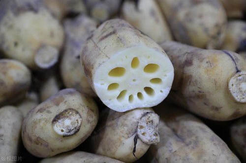 莲藕保鲜技巧：高效储存方法，延长鲜嫩期限