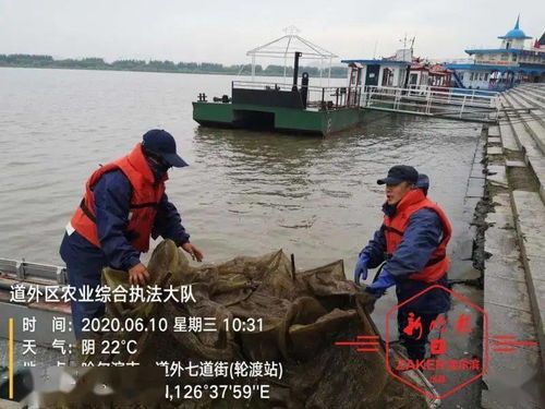 螃蟹雨天前后活动频繁，渔业捕捞宜选雨天