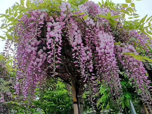 保护方法， 简单又实用