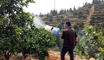 小区农药喷洒后开窗时间