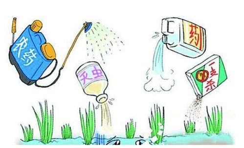 农药杀菌活性评估的重要性