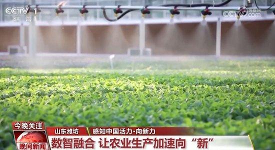 博白油茶产业迎来政策春风，助力绿色经济腾飞