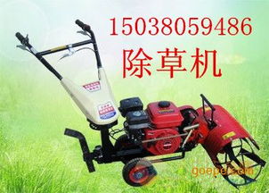 葡萄园里的草，到底怎么除呢？