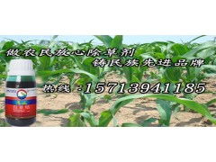 绵阳苹果山楂除草剂推荐：kan这里