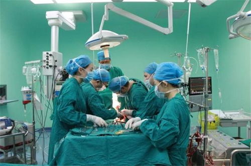 病人送花需考虑病情、医院规定及花语寓意