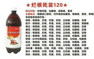 菜农的血泪教训， 别再踩这三个坑