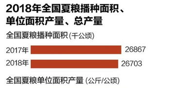 二、涨价只是表象，背后藏着大机遇