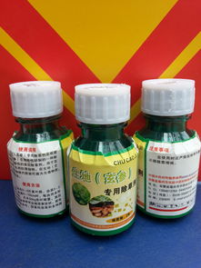 玄参地里专用除草剂，效果怎么样？真的有用吗？