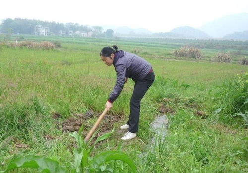 实验对比，真相大白！