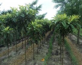 性价比高基地大揭秘