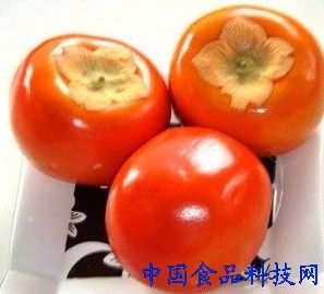柿子种子可以种植，柿子具有润肺、止咳、降火的功效