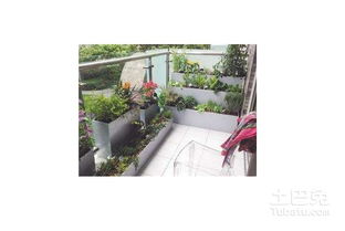 剪枝大法：给花花来个造型设计