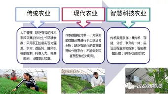 智能温室灌溉革新农业，节水增效
