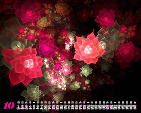 揭秘梦境花卉：哪些花朵象征着梦幻与美好？