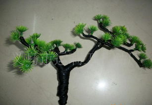 松树盆景搭配假山造型， 美得让人心动