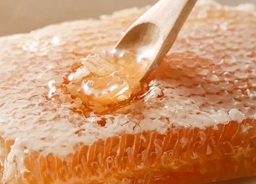蜜蜂窝：天然蜂蜡制品