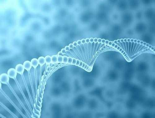 水绵不是原核生物？看完这篇你就明白了