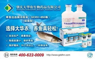 宝积饲料质量能否满足新手养殖户长期稳定使用需求？