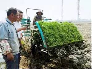 **种草早就不靠天吃饭了**