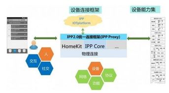 探索圆叶植物的奥秘，从形态到生态全方位解析