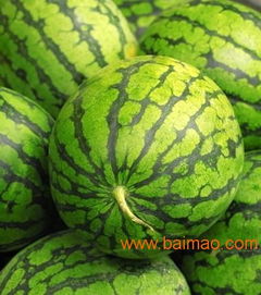 新型农药， 缓释片剂了解一下