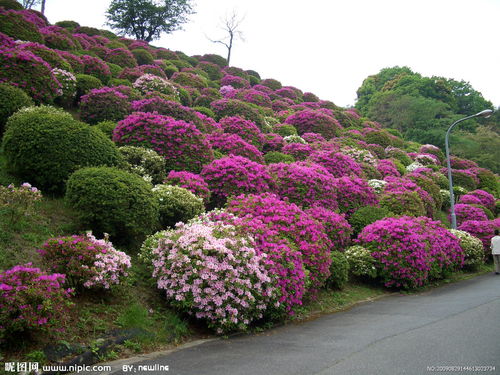 语音播报缩小字体放大字体微博微信分享