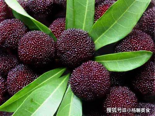 第四步：定期检查