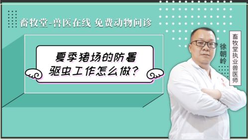夏季猪场如何科学降温？