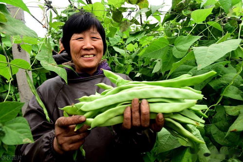 操作流程对比表，kan懂了吗？