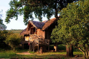 走进古代园林的感受