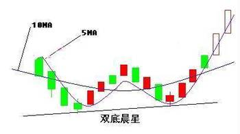 海拔2300米冻土烂根地， 耐寒草种大揭秘