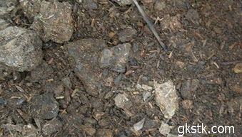 第四步：移栽大法好