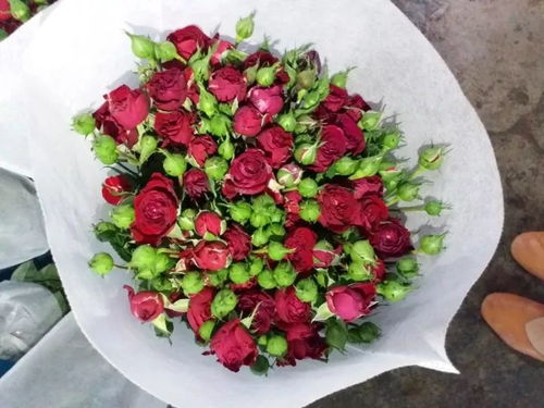 啤酒法：让玫瑰花的爱情永不干涸