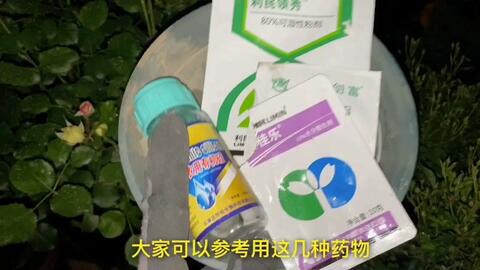 1. 黑斑病、 褐斑病、炭疽病