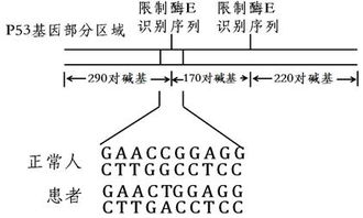 农业养殖中，新陈代谢指动植物体内物质和能量转换过程