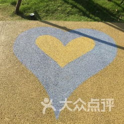 专业园林公司， 提供全方位服务