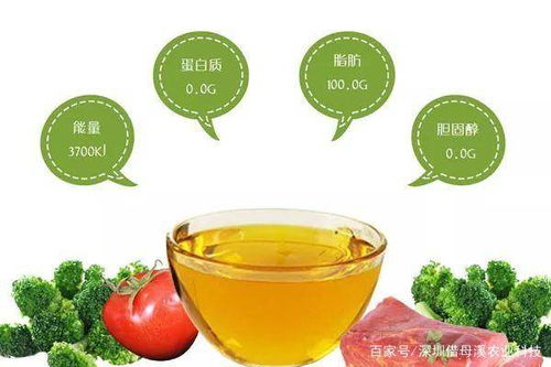 如何食用山茶油？探索山茶油的烹饪秘籍