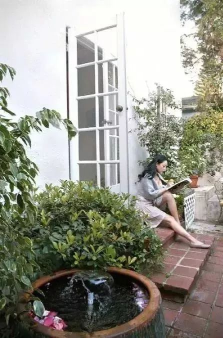 罂粟花是什么？它为何让人又爱又恨