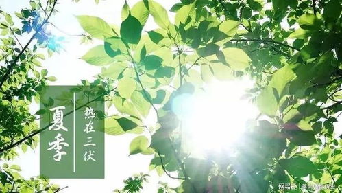 雨季种植，抗涝指数要拉满