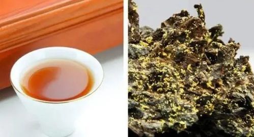 黑茶品种繁多，新手必看的热门黑茶大盘点有哪些