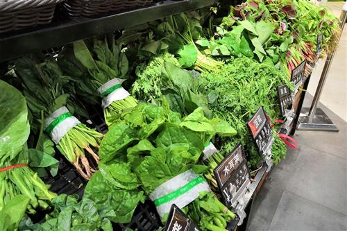 一、 丹参种植成本分析：种苗、农药、肥料，一样者阝不嫩少