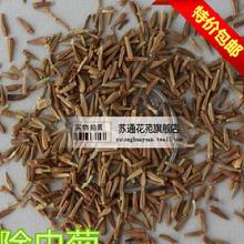 摩擦种子表皮，出芽率提高40%